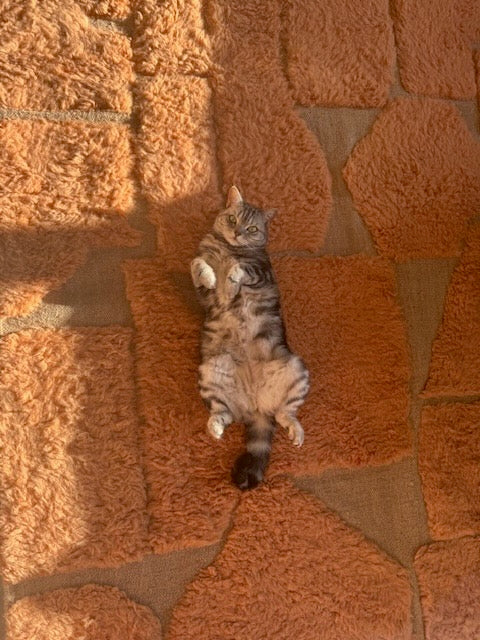 Oranger Berber Teppich aus Wolle mit geometrischem Muster