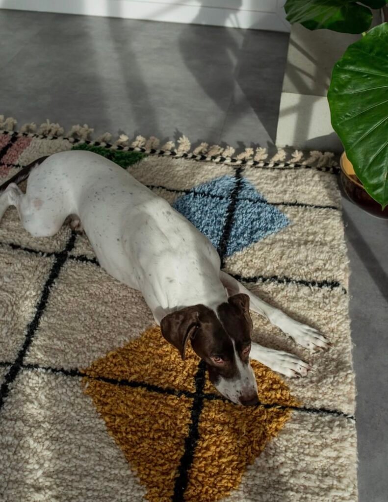 Traditioneller Berber Teppich aus Marokko als stilvoller Wohnzimmerteppich mit zeitlosem Design